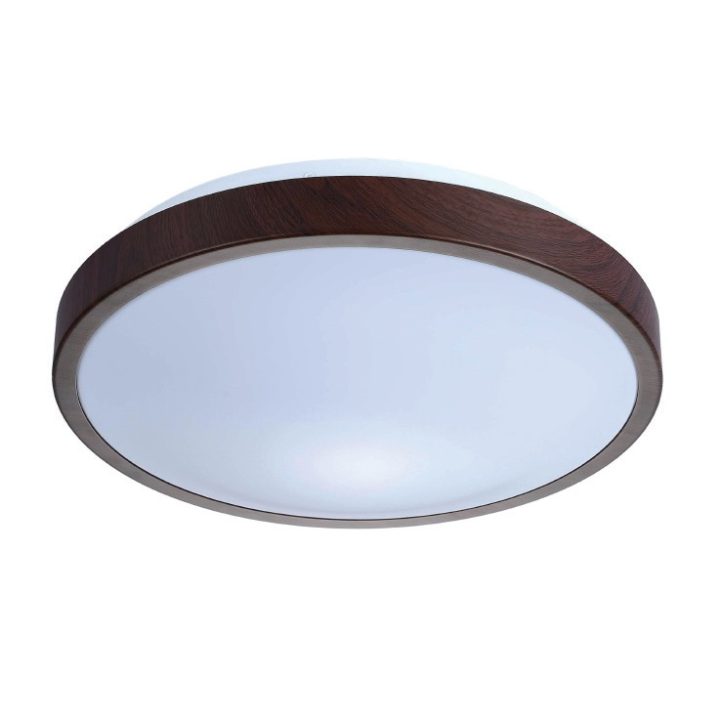Deco Oyster Light - Image 2